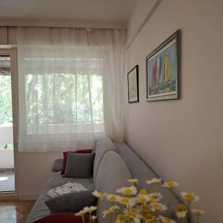Apartment Luciana - Near City Centre *